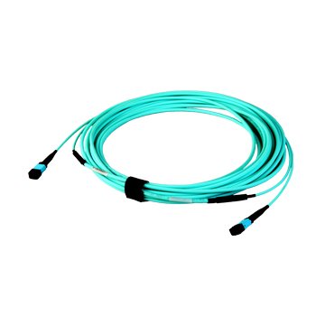 MTP MPO trunk cable