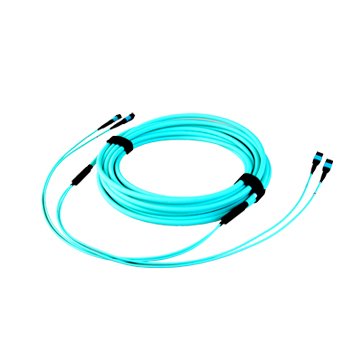 24-fiber multimode MTP MPO trunk cable